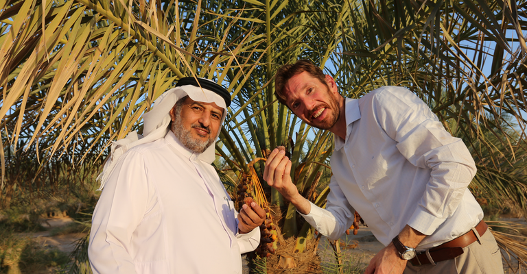 Yogi & Yousef are friends selling dates